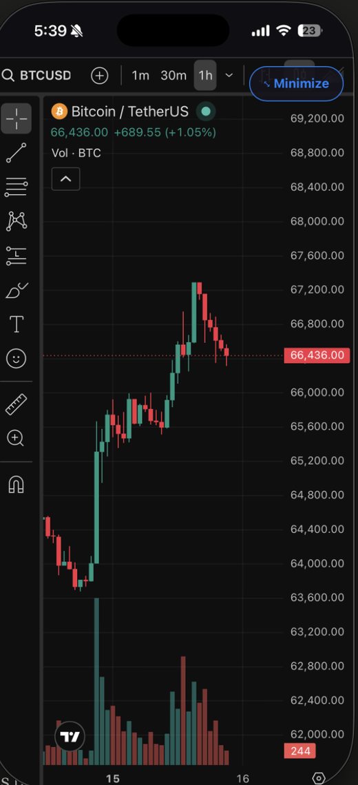 DailyHub full-screen candlestick chart screen